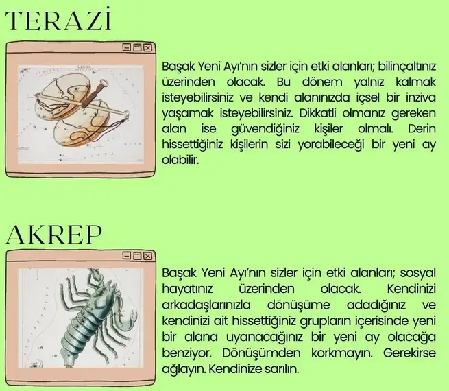başak21 (6).webp