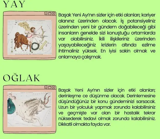 başak21 (7).webp