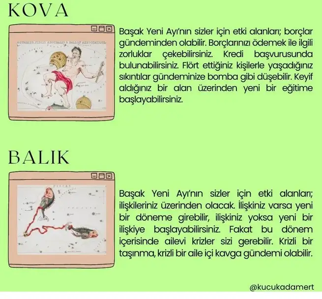 başak21 (8).webp