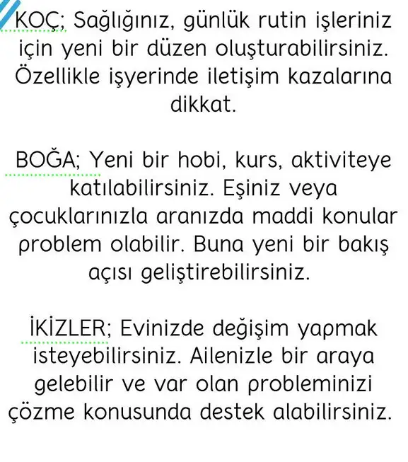 başak22 (2).webp