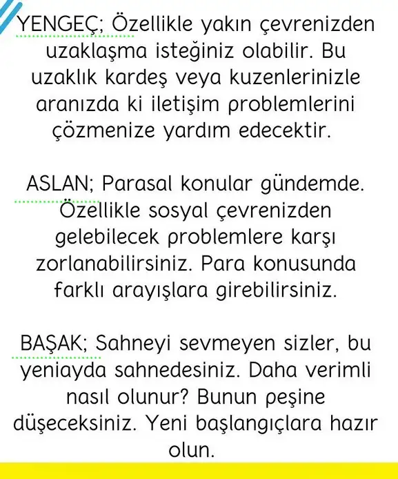başak22 (3).webp