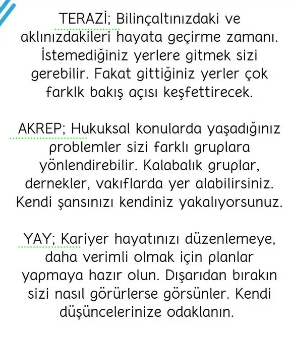 başak22 (4).webp