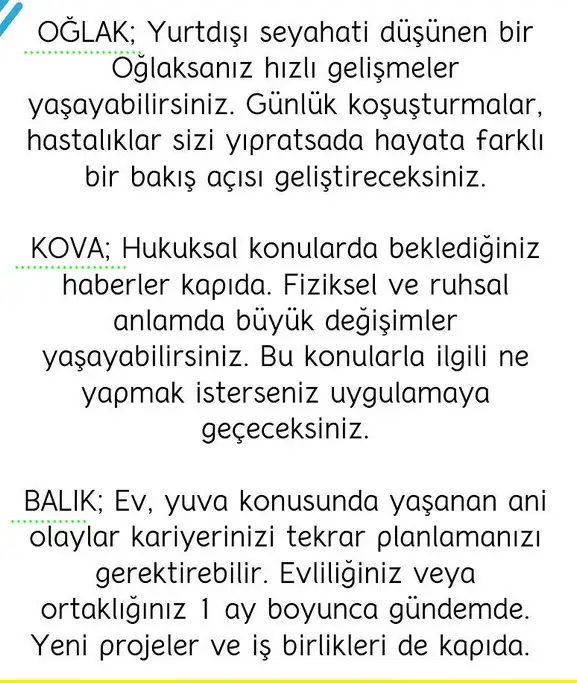 başak22 (5).webp