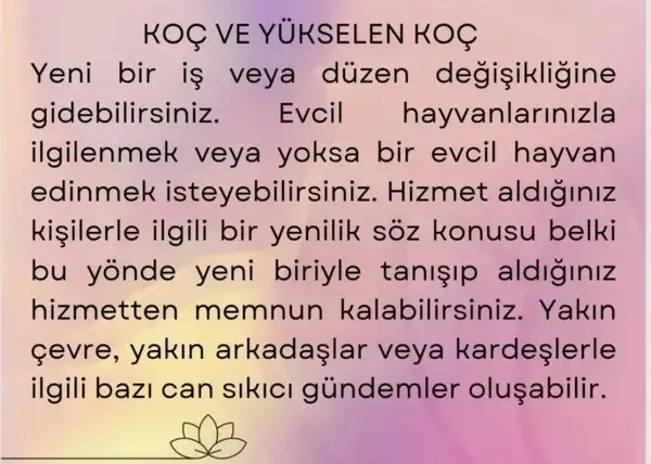 başak24 (1).webp