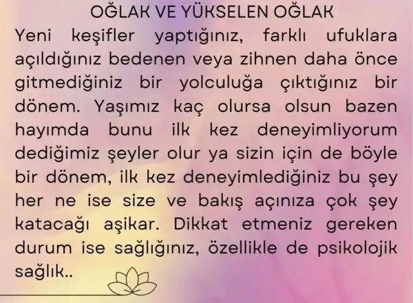 başak24 (10).webp