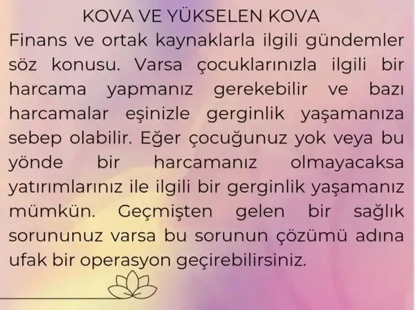 başak24 (11).webp