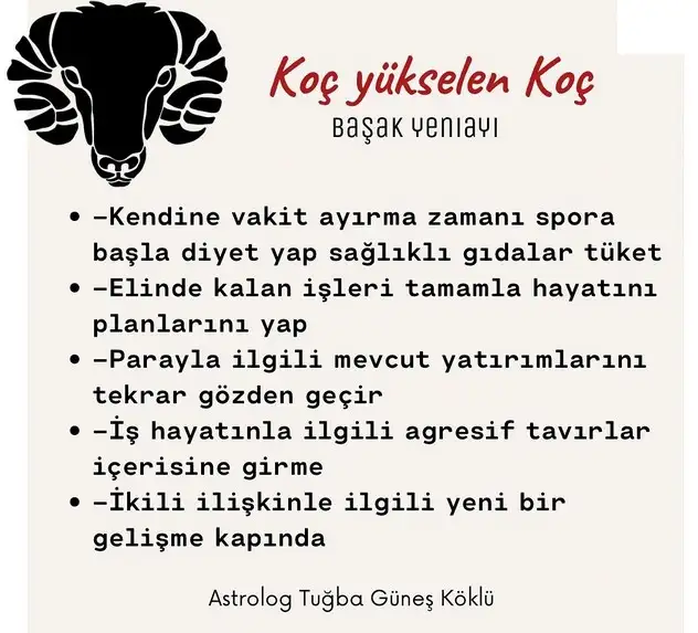 başak26 (2).webp