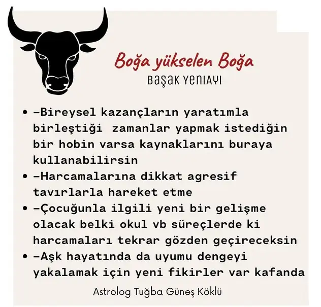 başak26 (3).webp