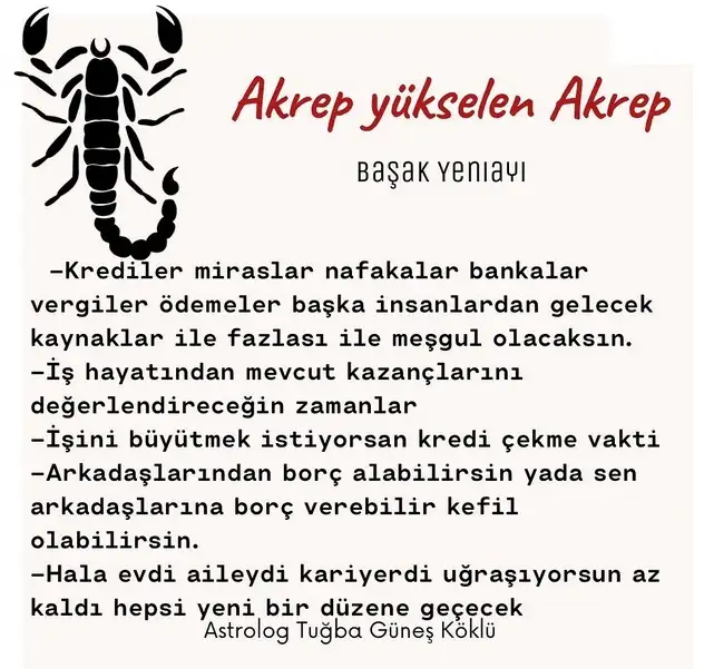 başak26 (9).webp