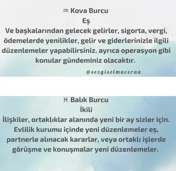 başak27 (7).webp