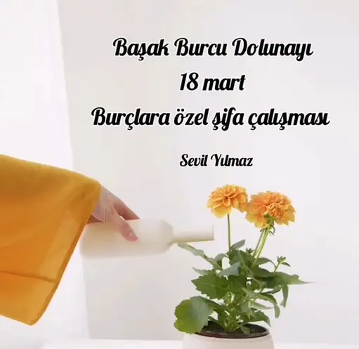 başak3 (1).jpg