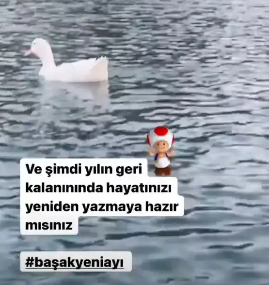 başak3 (1).webp