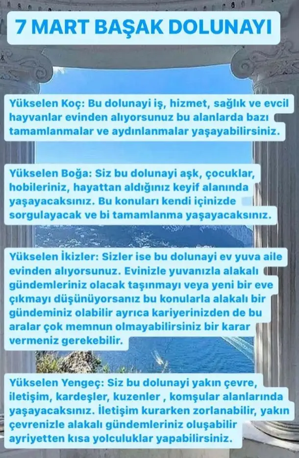 başak3 (1).webp