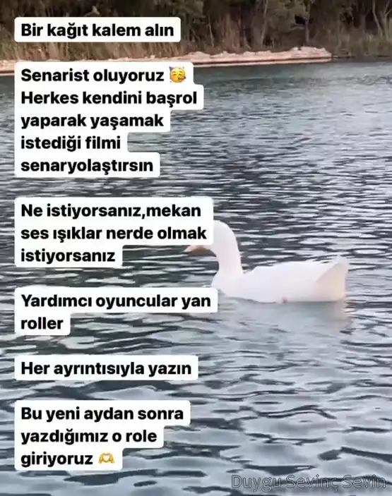 başak3 (2).webp