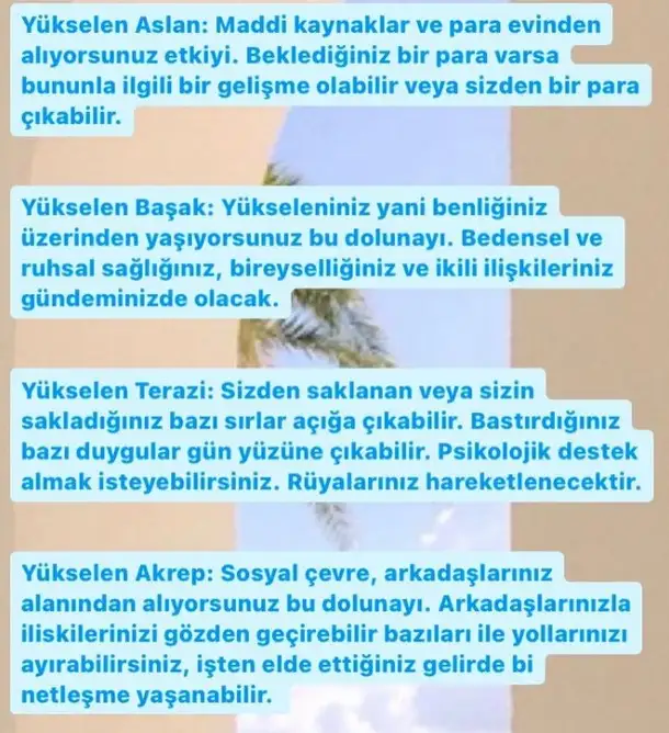 başak3 (2).webp