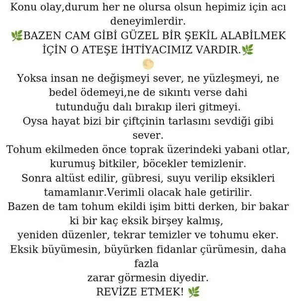 başak3 (4).jpg