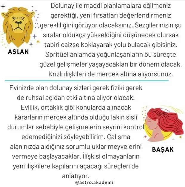 başak3 (4).webp