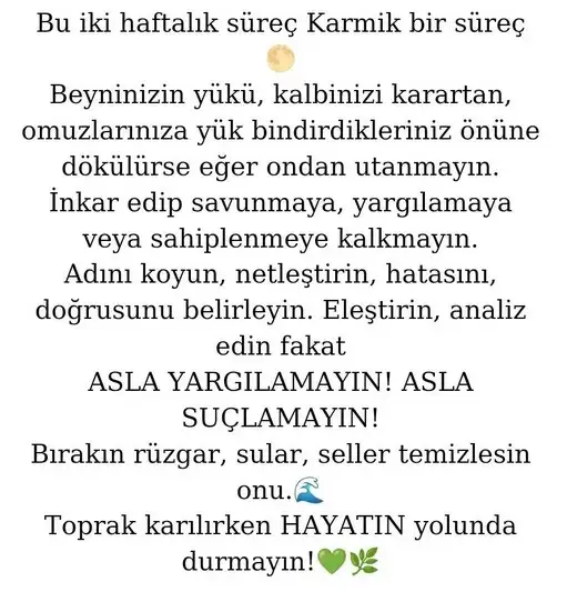 başak3 (6).jpg