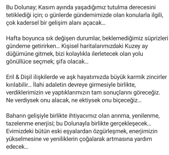 başak31 (1).webp