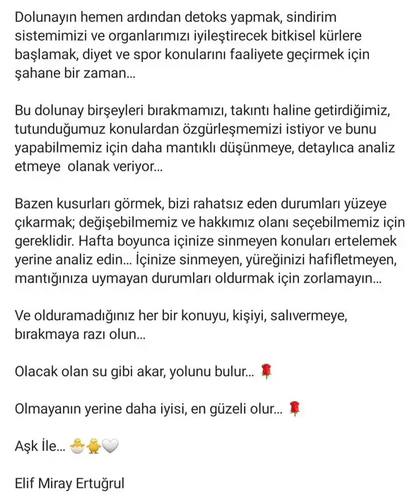 başak31 (2).webp