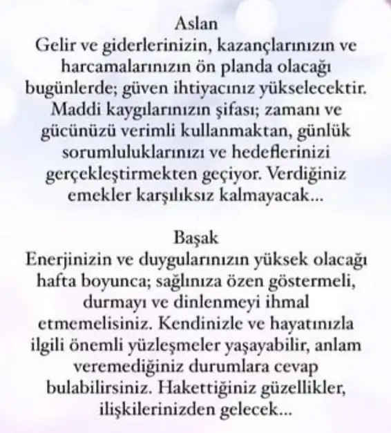 başak31 (5).webp
