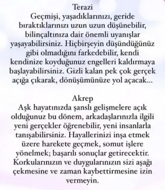 başak31 (6).webp