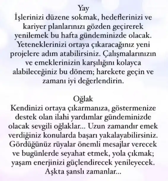 başak31 (7).webp