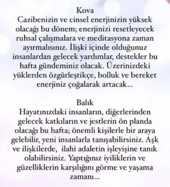 başak31 (8).webp