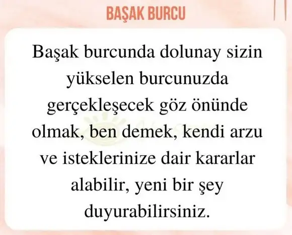 başak32 (12).webp