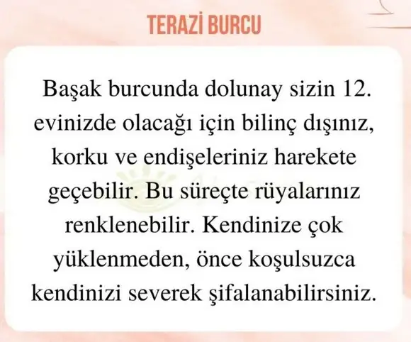 başak32 (14).webp