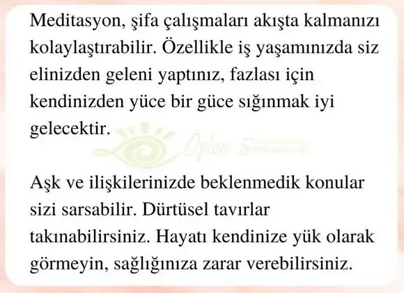 başak32 (15).webp