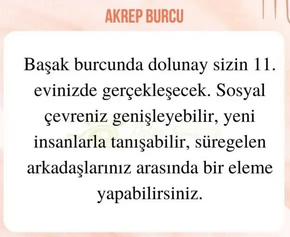 başak32 (16).webp