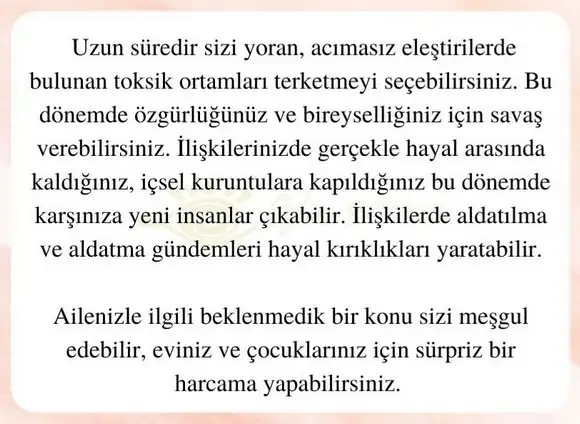 başak32 (17).webp