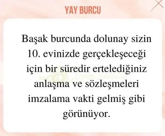 başak32 (18).webp
