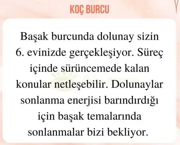 başak32 (2).webp