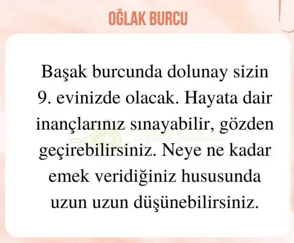 başak32 (20).webp