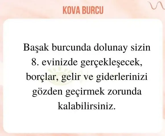 başak32 (22).webp