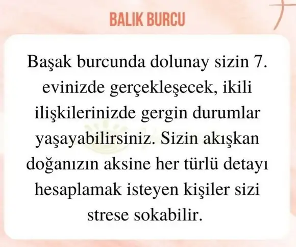 başak32 (24).webp
