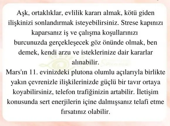 başak32 (25).webp