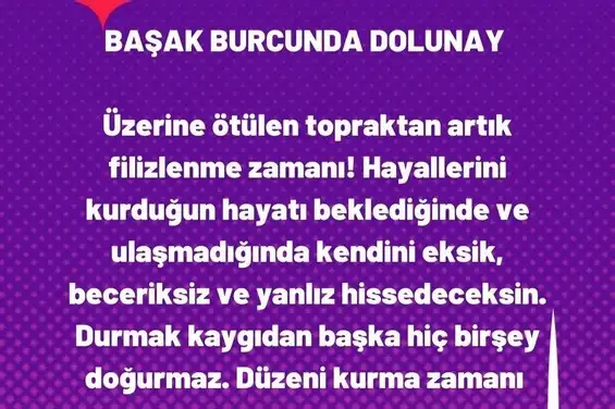 başak32 (26).webp