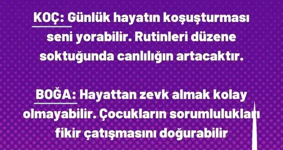 başak32 (27).webp