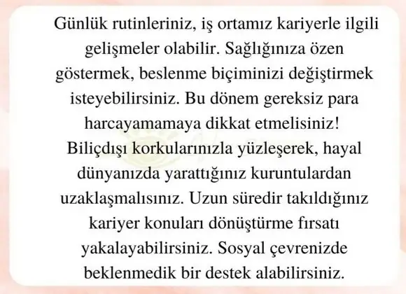 başak32 (3).webp
