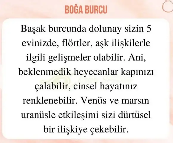 başak32 (4).webp
