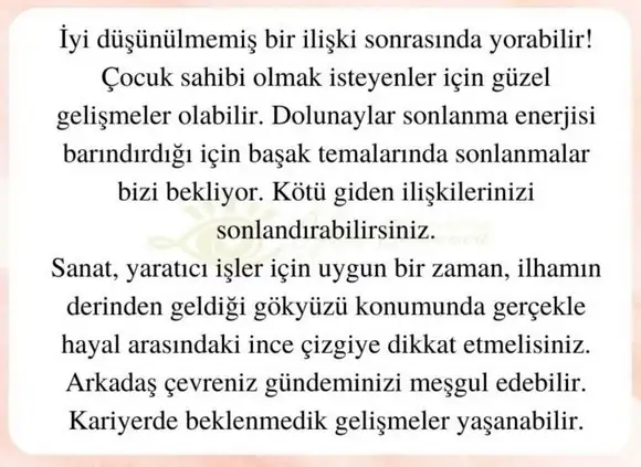 başak32 (5).webp