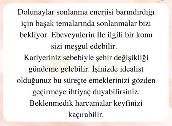 başak32 (7).webp