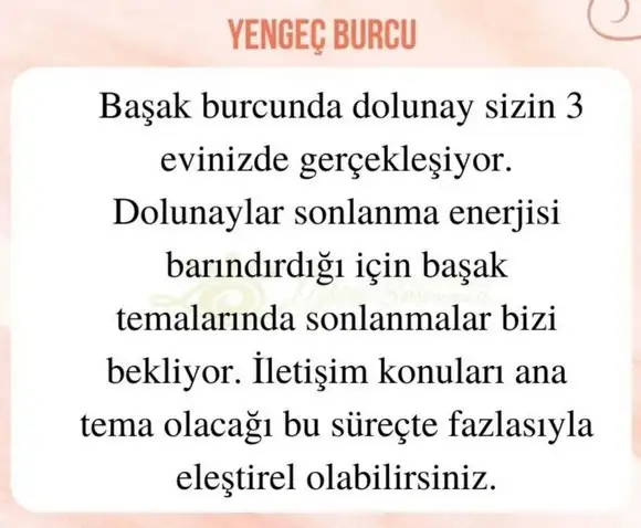 başak32 (8).webp