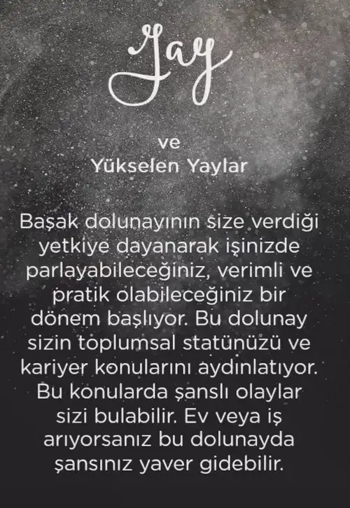 başak37 (10).webp