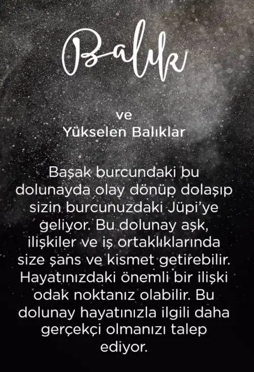 başak37 (13).webp
