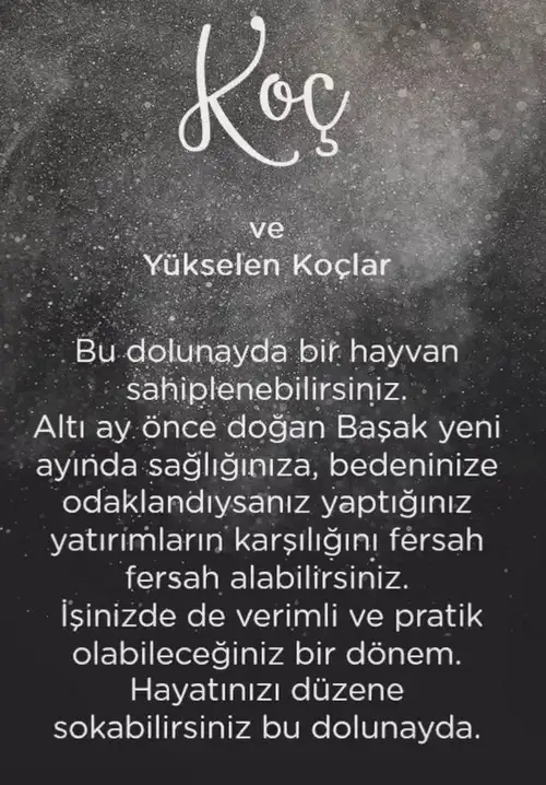 başak37 (2).webp