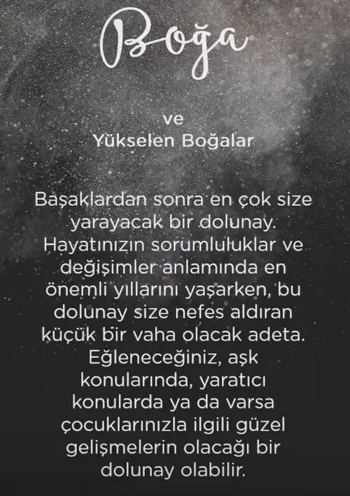 başak37 (3).webp